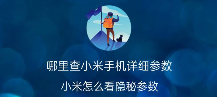 哪里查小米手机详细参数 小米怎么看隐秘参数？